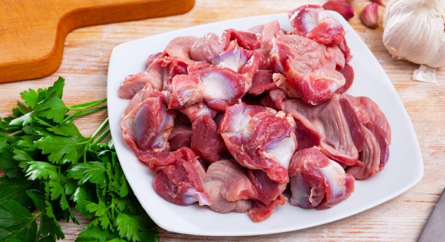 Gizzard