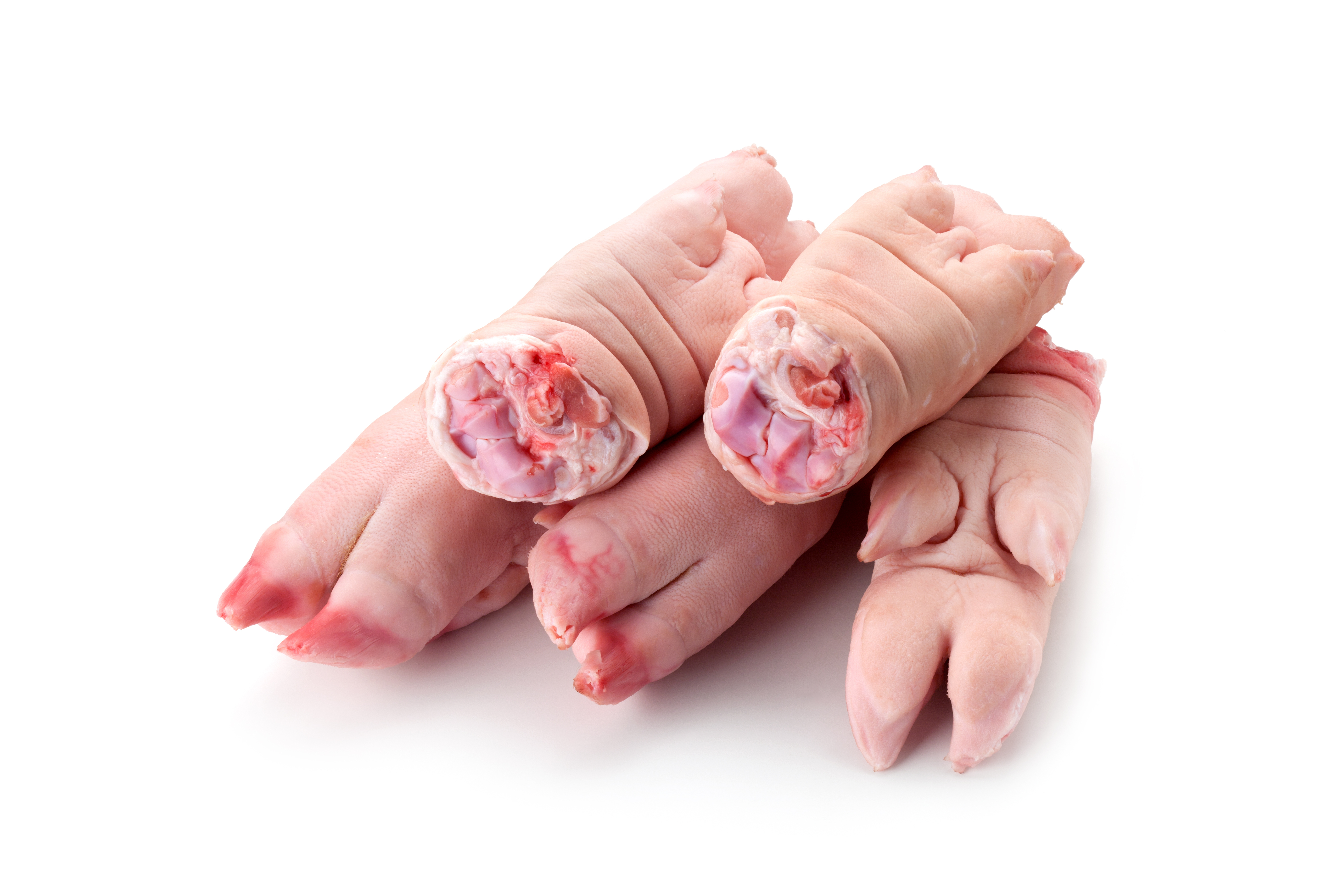 Pig Feet