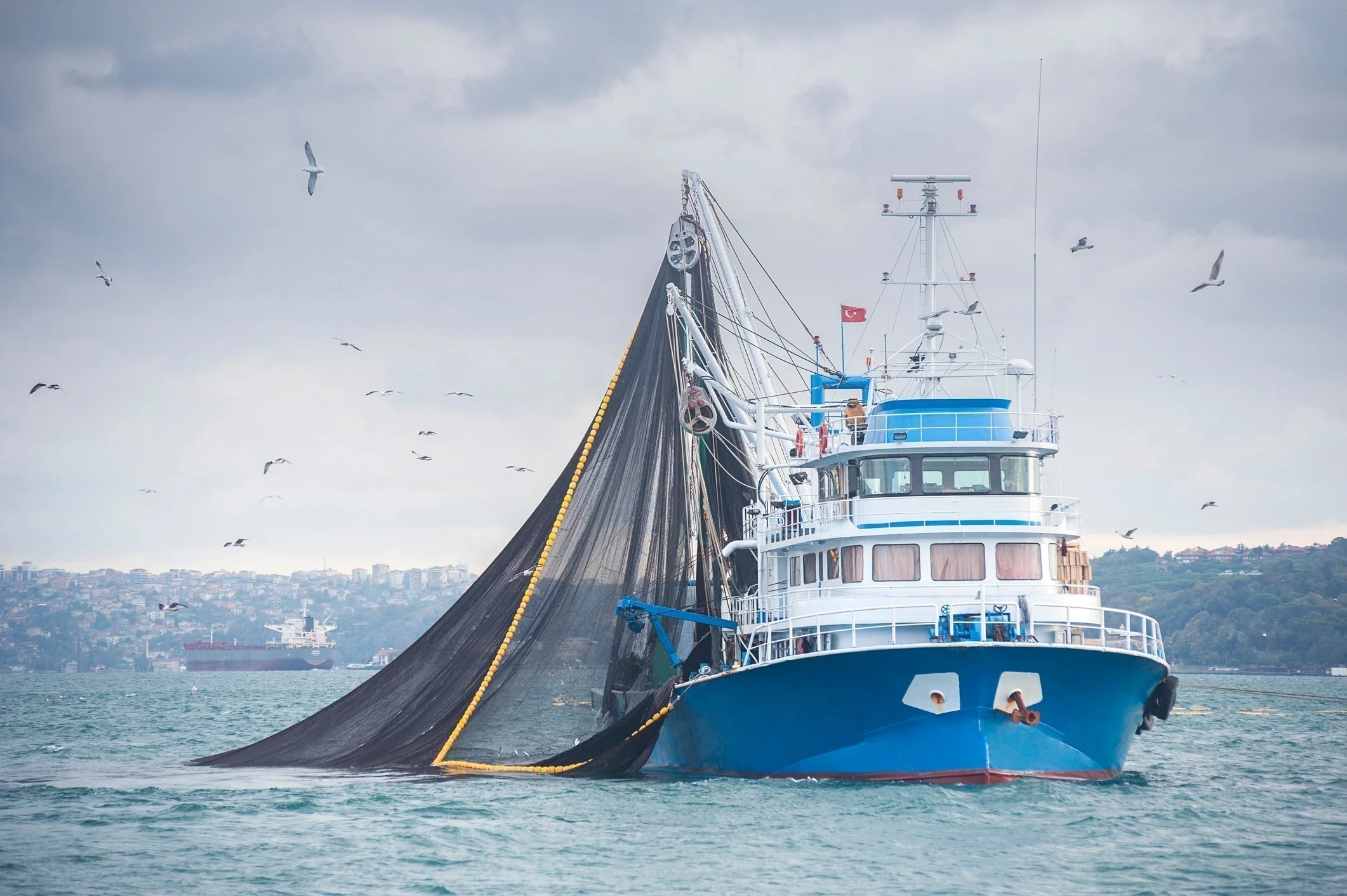 Tema Harbour